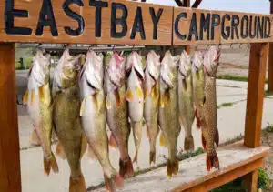 Eastbay Campground photo 4
