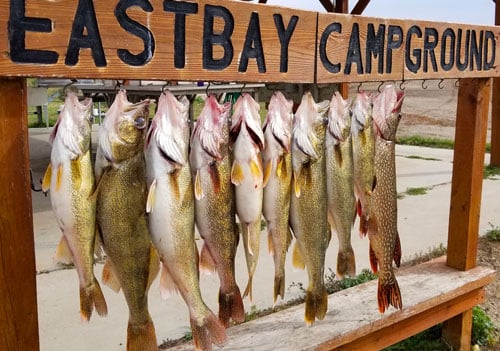 Wooden Eastbay Campground sign with ten large fish hanging on hooks below.
